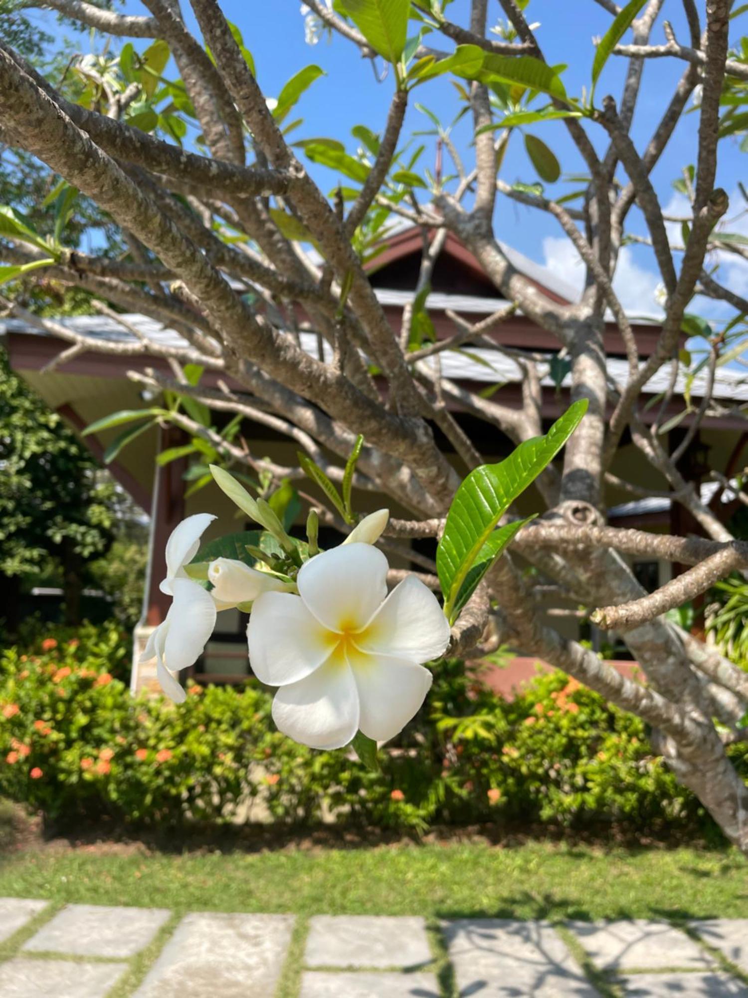 Grand Manita Beach Resort Lamai Beach  Ngoại thất bức ảnh